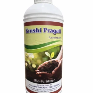 Azotobacter (Bio Fertilizers)-IS:9138