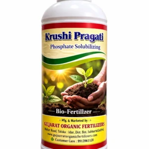 Phosphate Solubilizing Bacteria (PSB)