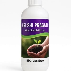 Zinc Solubilizing Biofertilizers (ZSB)